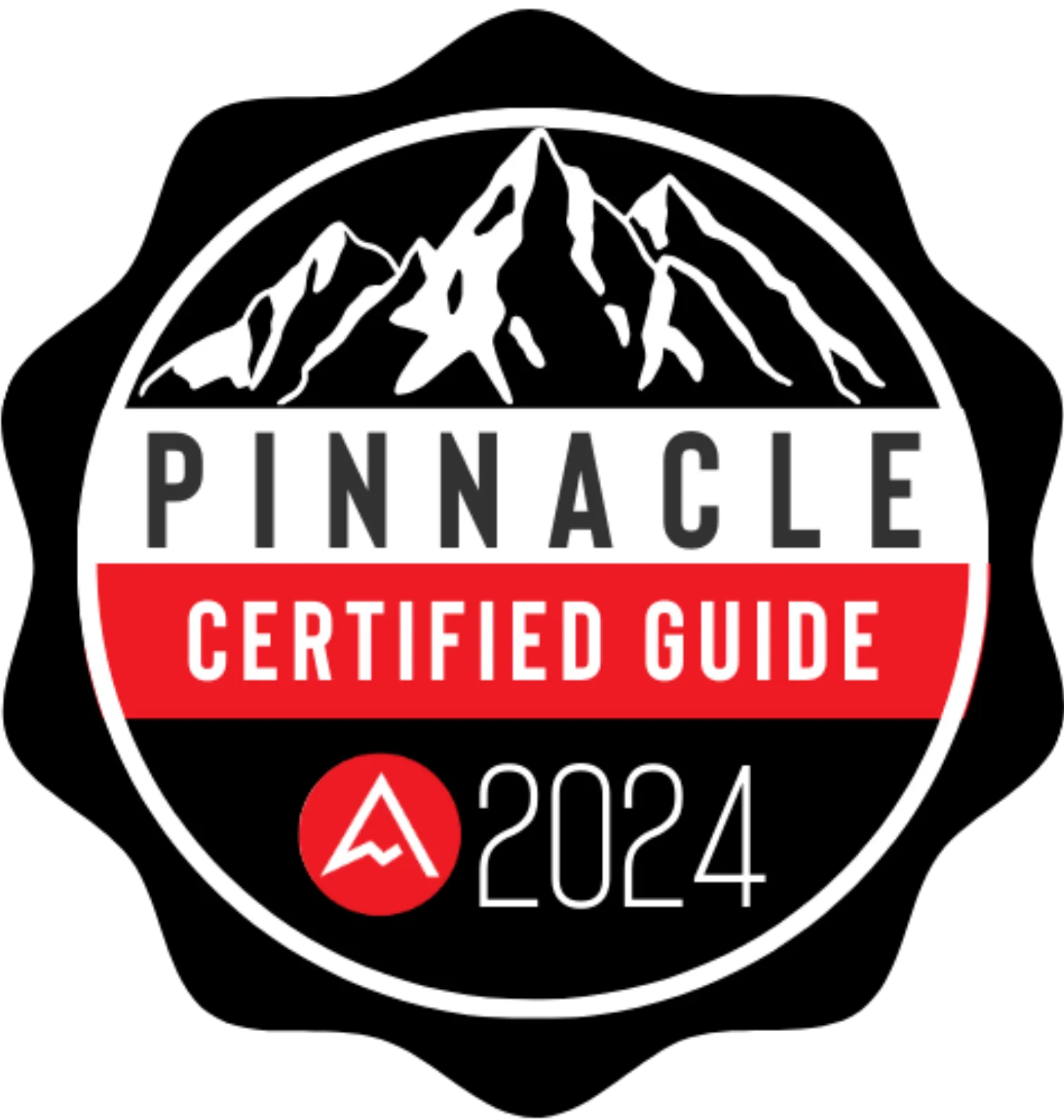 Pinnacle Certified Business Guide 2024 badge